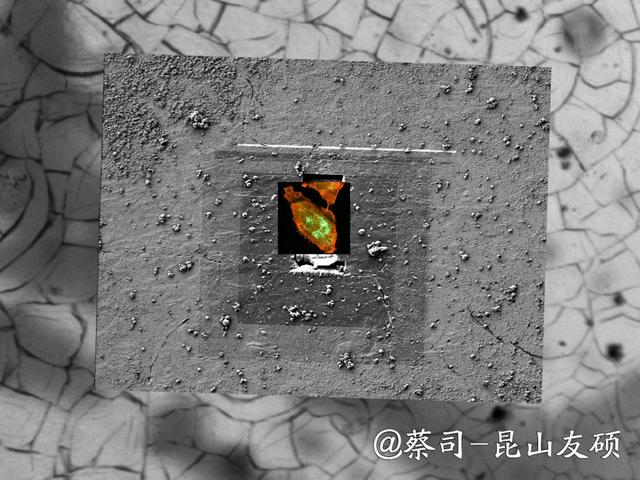 揭阳揭阳蔡司揭阳扫描电镜